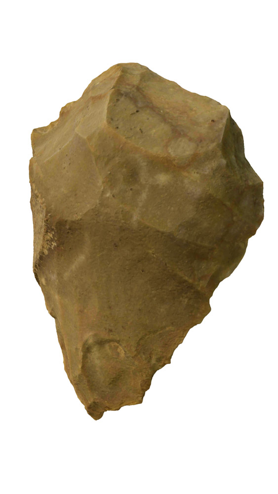 Démo Tegula